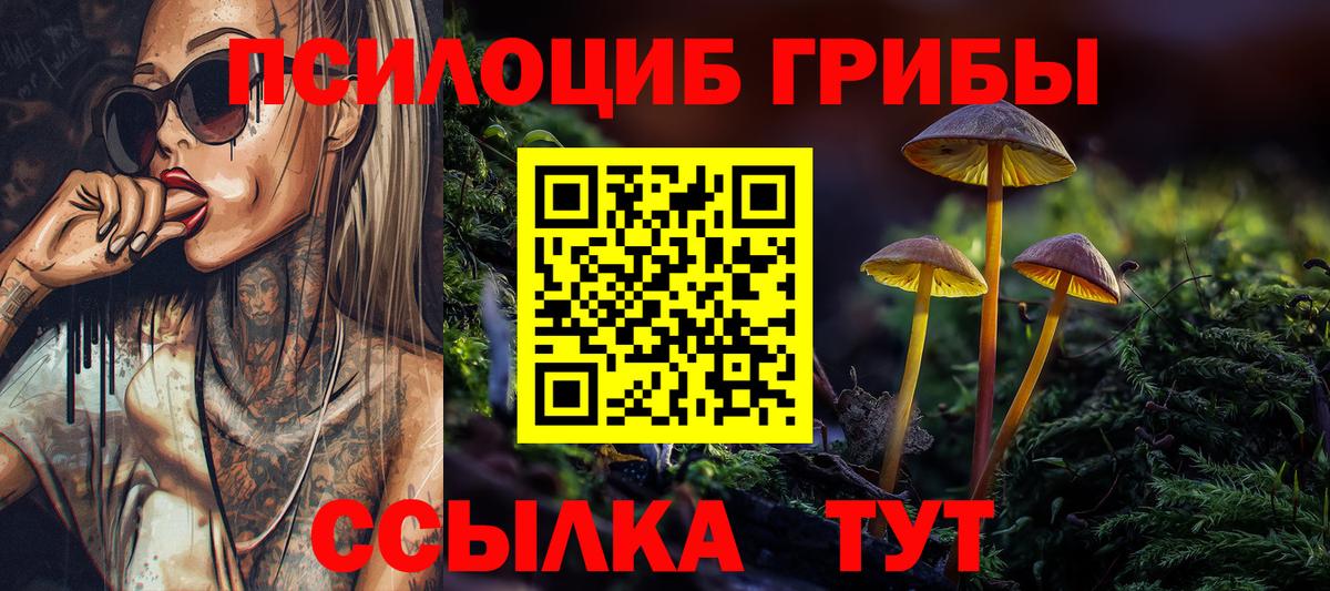 Будённовск  Псилоцибиновые грибы прущие грибы  Вход с VPN 