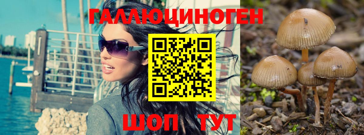 Псилоцибиновые грибы ЛСД Будённовск